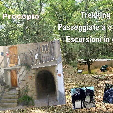 Affitta Camere San Procopio Troina Экстерьер фото